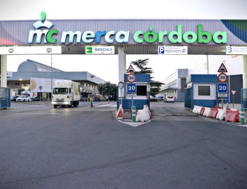 Campaña de renovación de abonos de entrada de vehículos